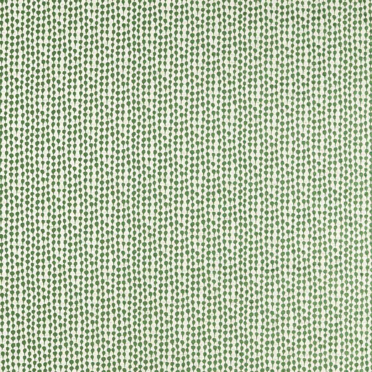 Sorrel 134657