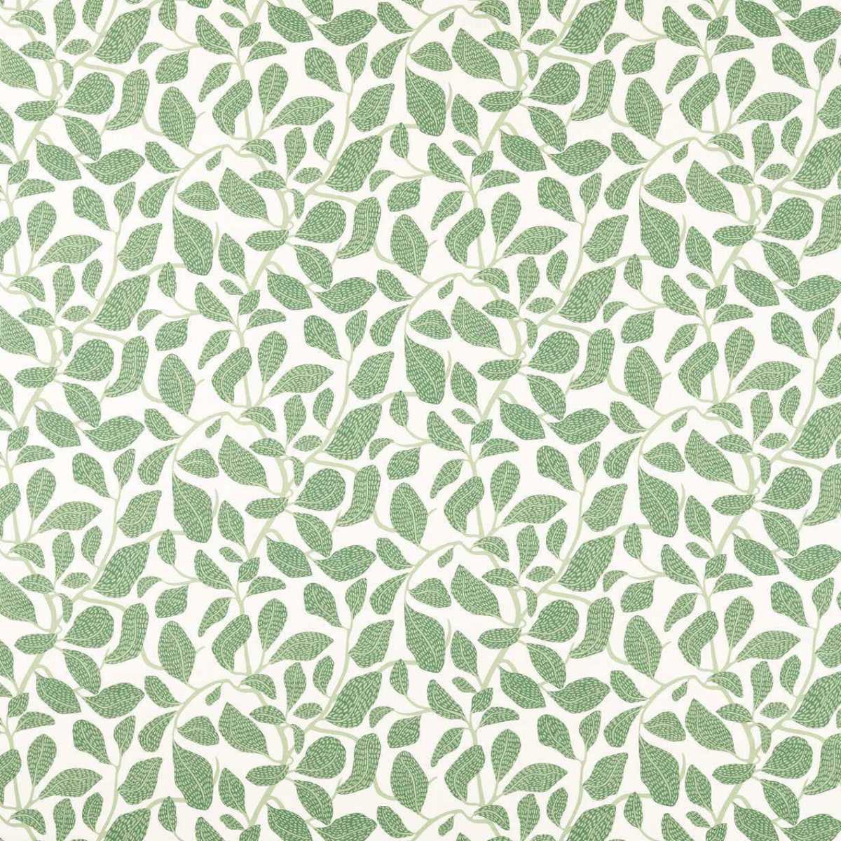 Sweet Bay Print 121314