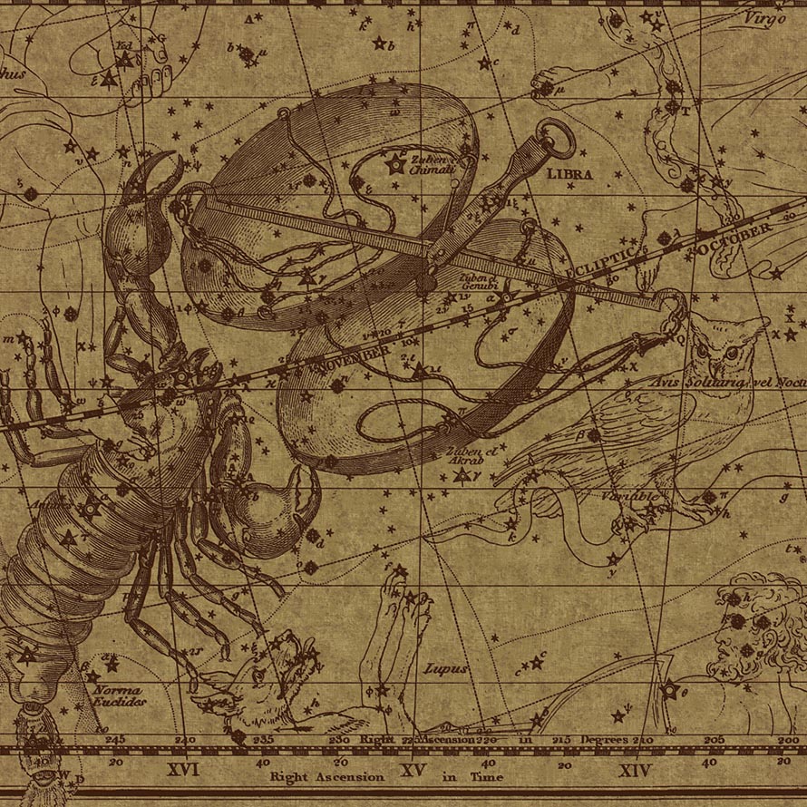 Scorpio M-GOL-018