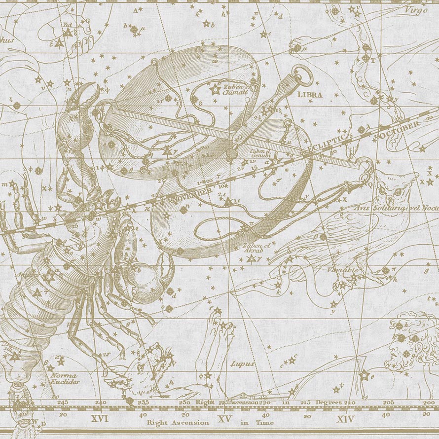 Scorpio M-GYPS-018