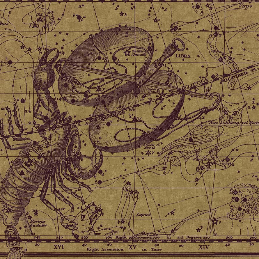Scorpio M-PGOL-018