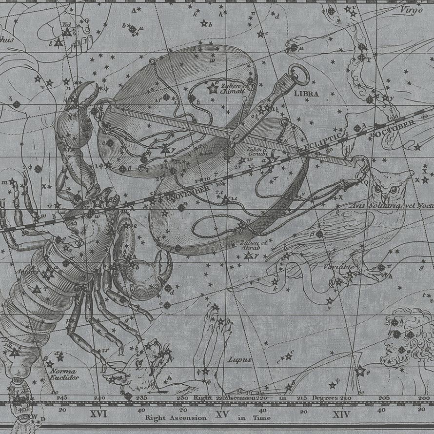 Scorpio M-SIL-018