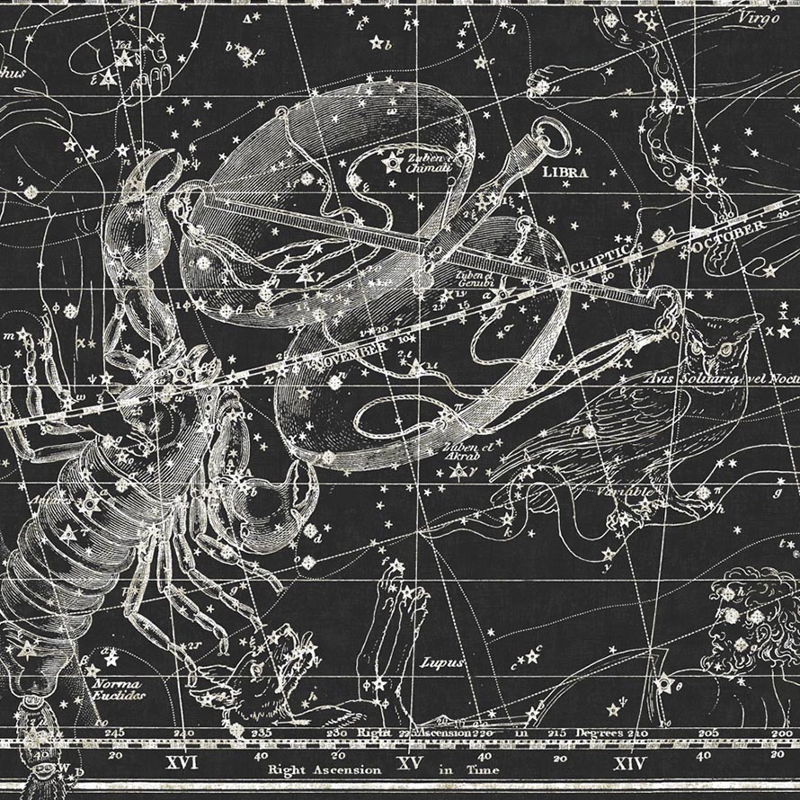 Scorpio M-SLA-018