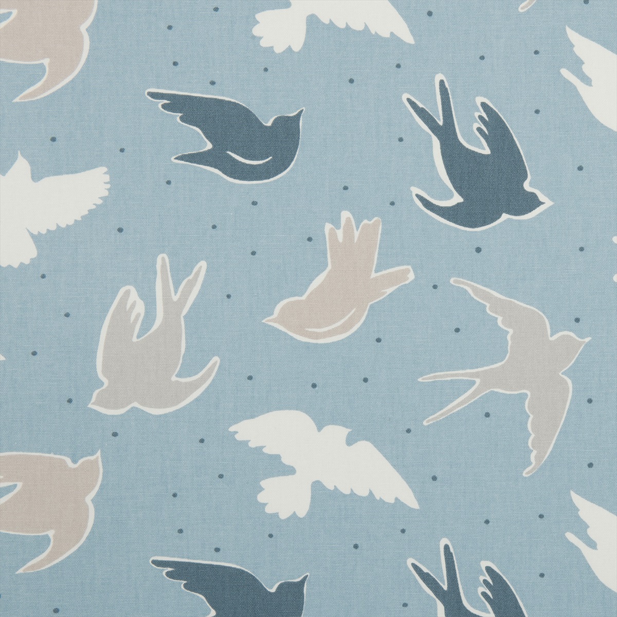 Seabirds Marine F0404-01