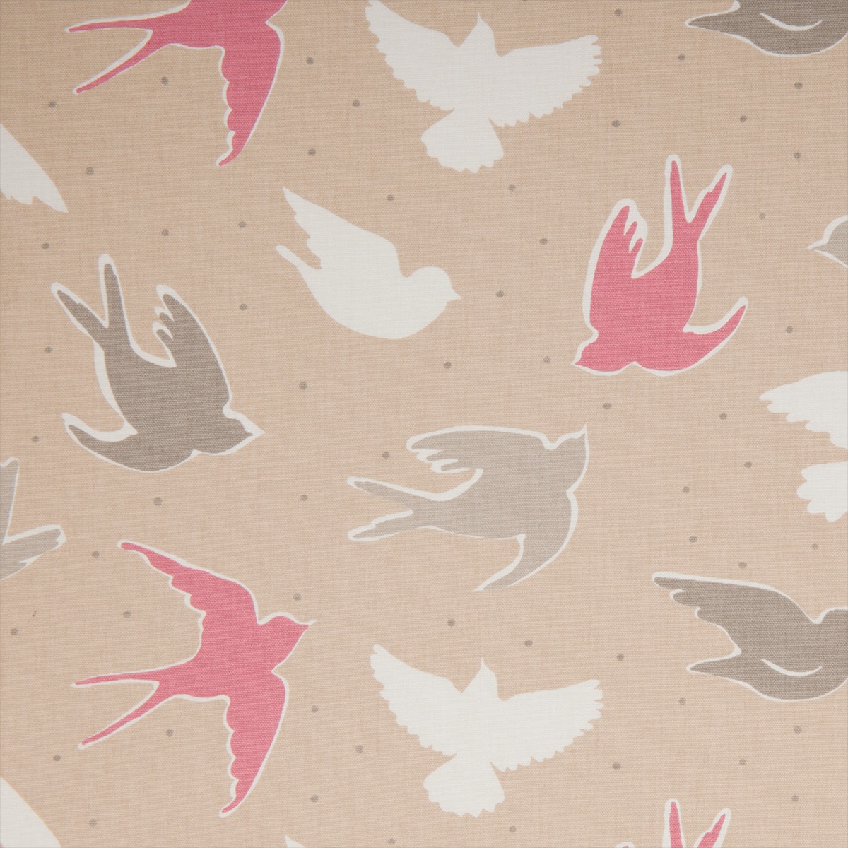 Seabirds Sand F0404-04