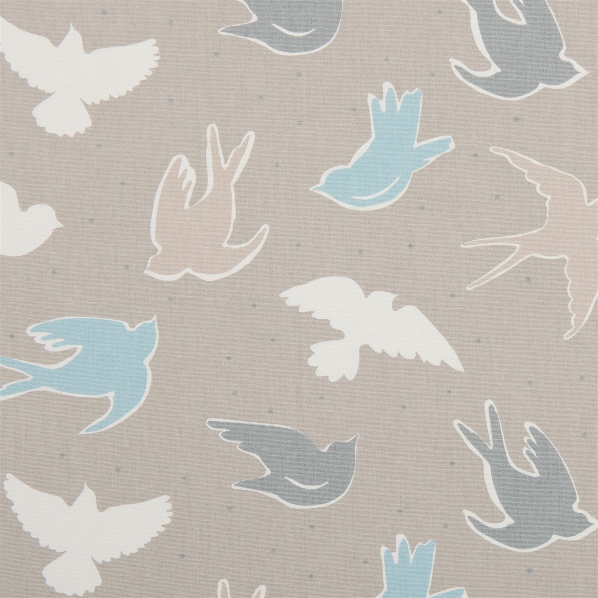Seabirds Surf F0404-05