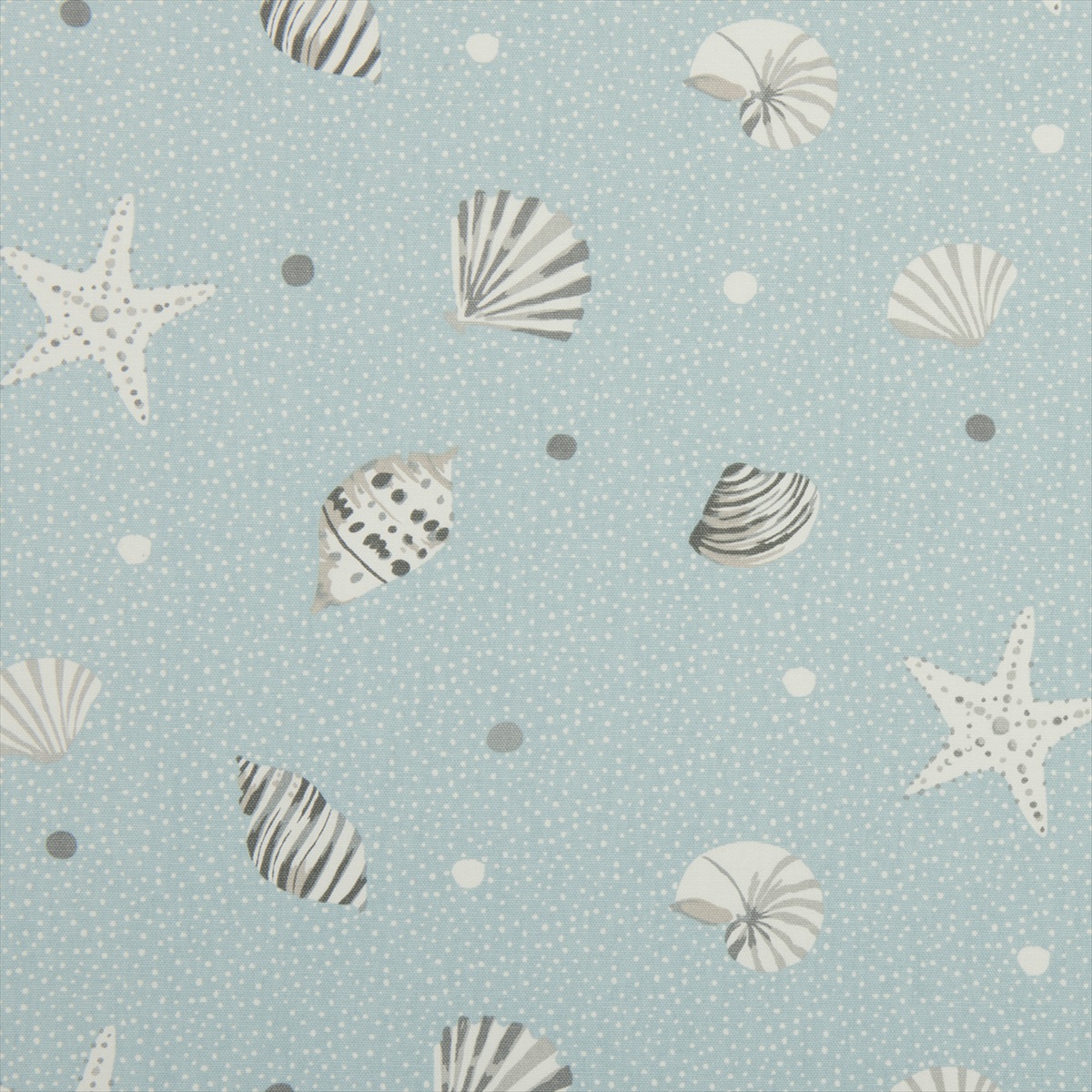 Seashells Mineral F0405-03