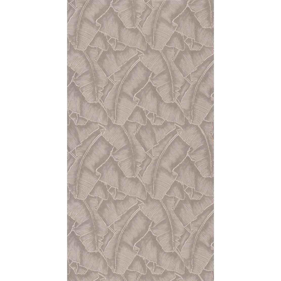 Selva CBBA 8432 12 02