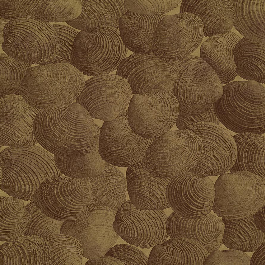 Shell M-GOL-002