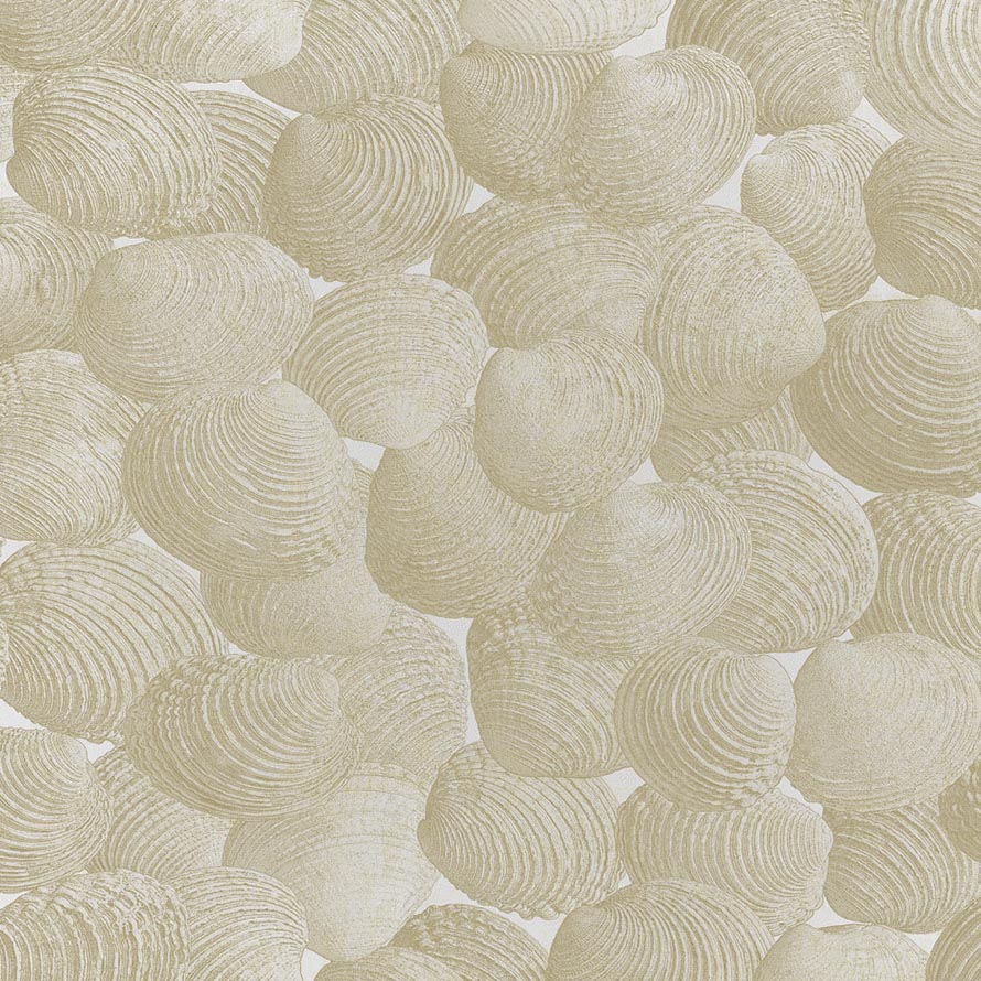 Shell M-GYPS-002