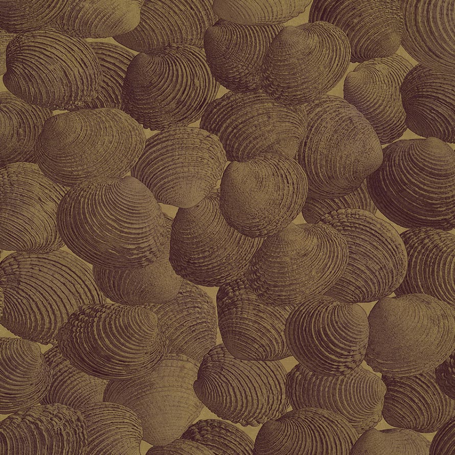 Shell M-PGOL-002