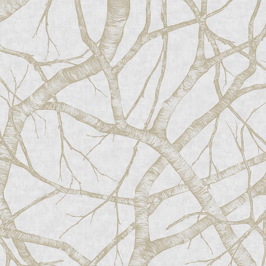 Silver Birch M-GYPS-008