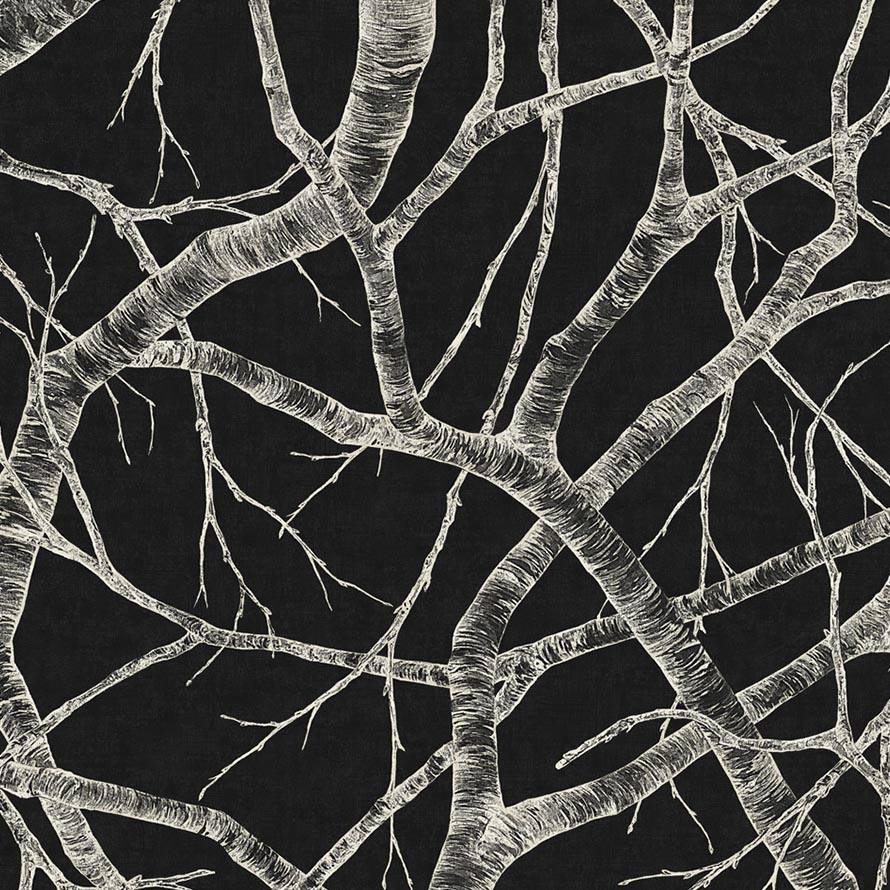 Silver Birch M-SLA-008