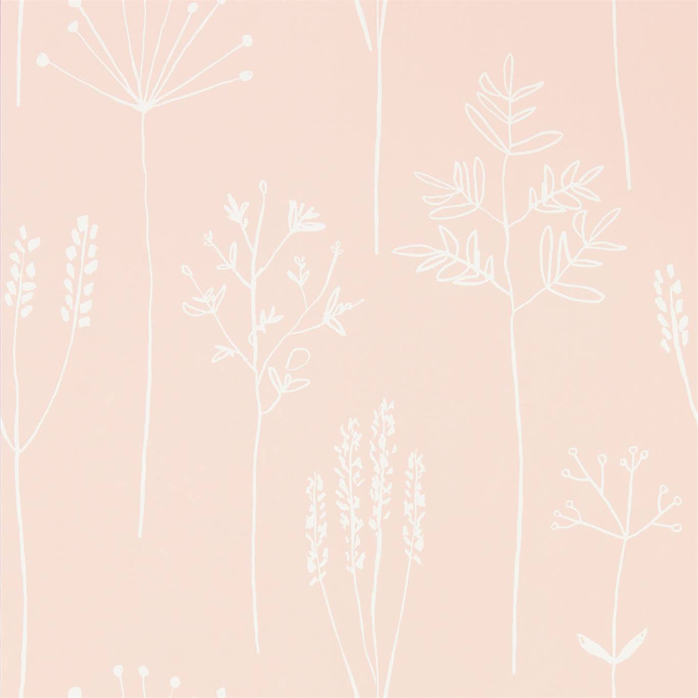 Stipa 112018