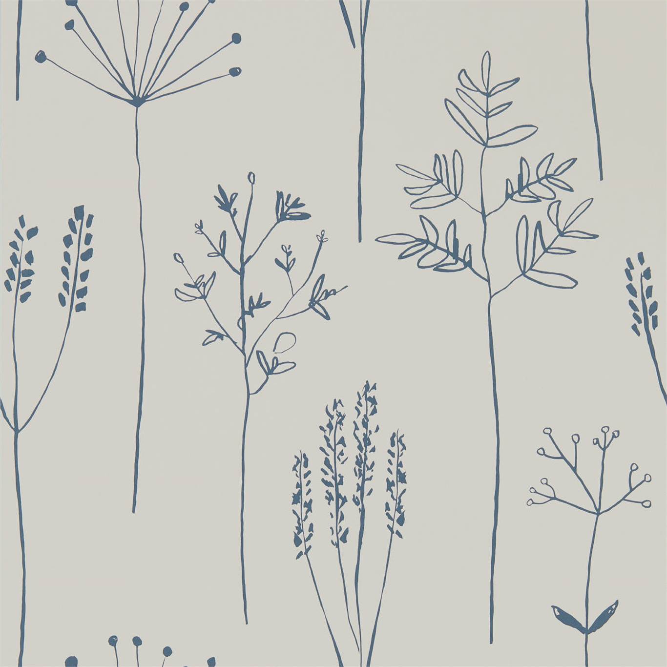 Stipa 112019