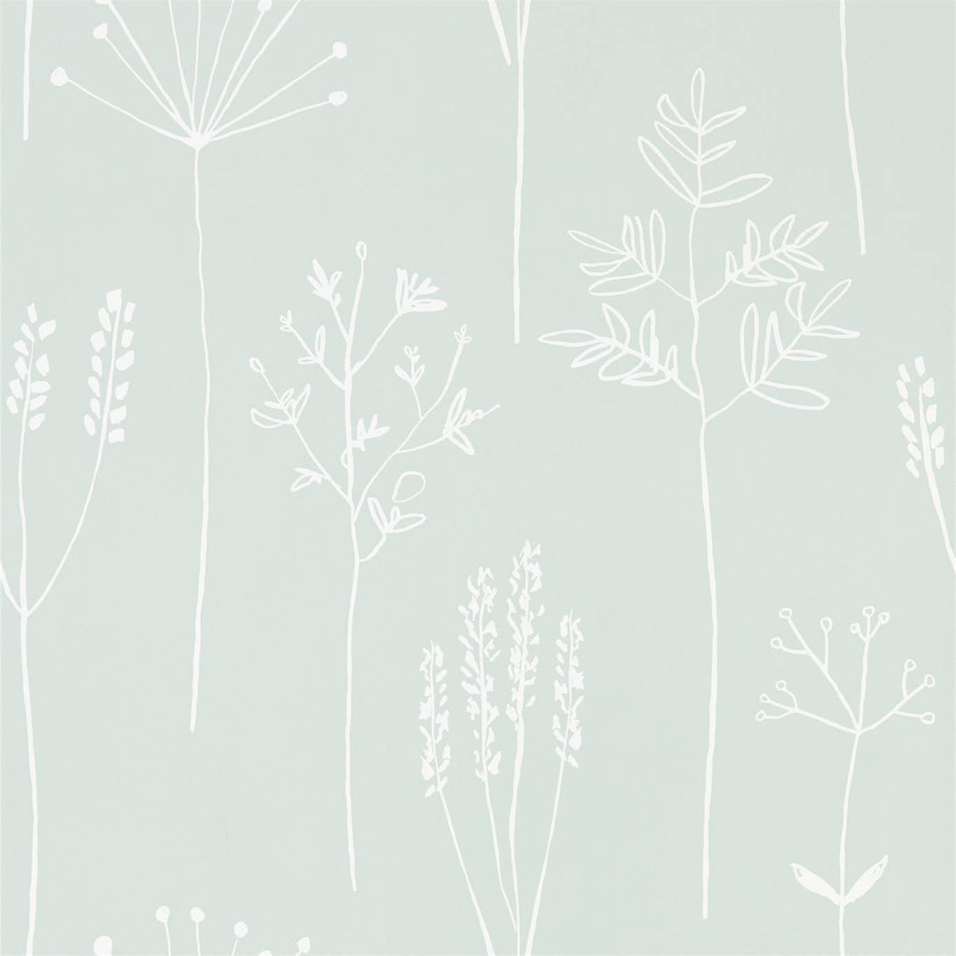 Stipa 112020