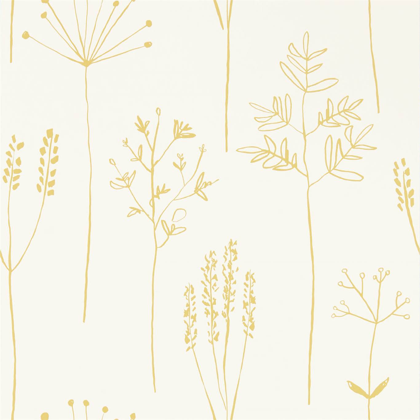 Stipa 112021