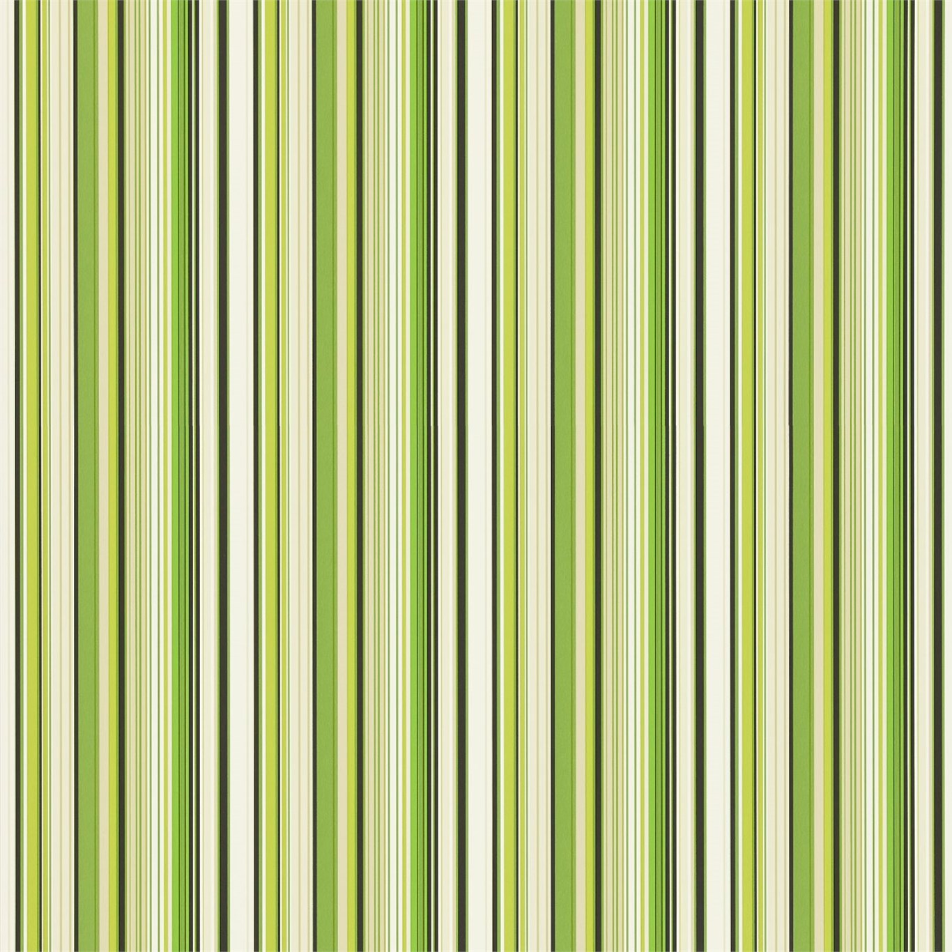 Strata 110222