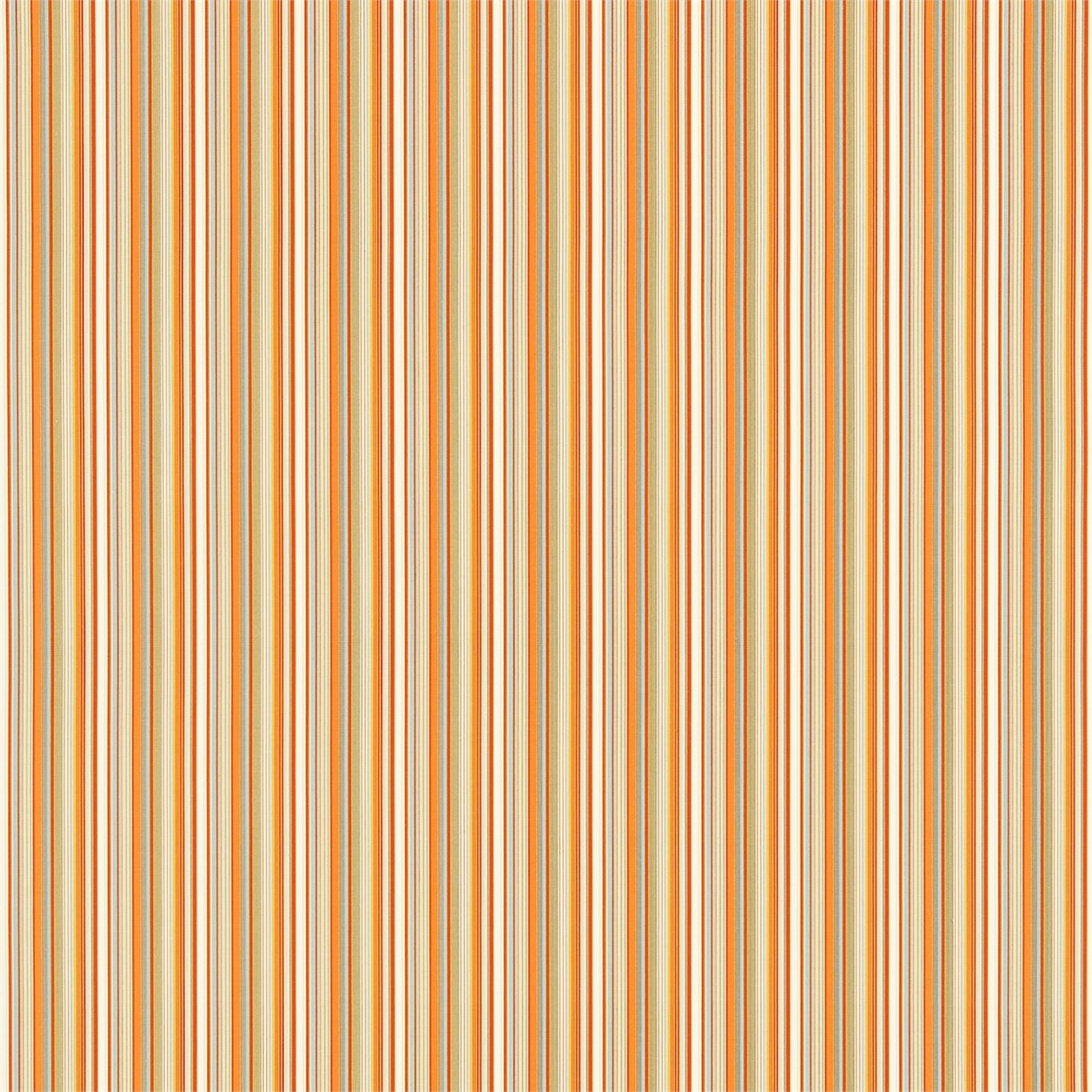 Strata 120081