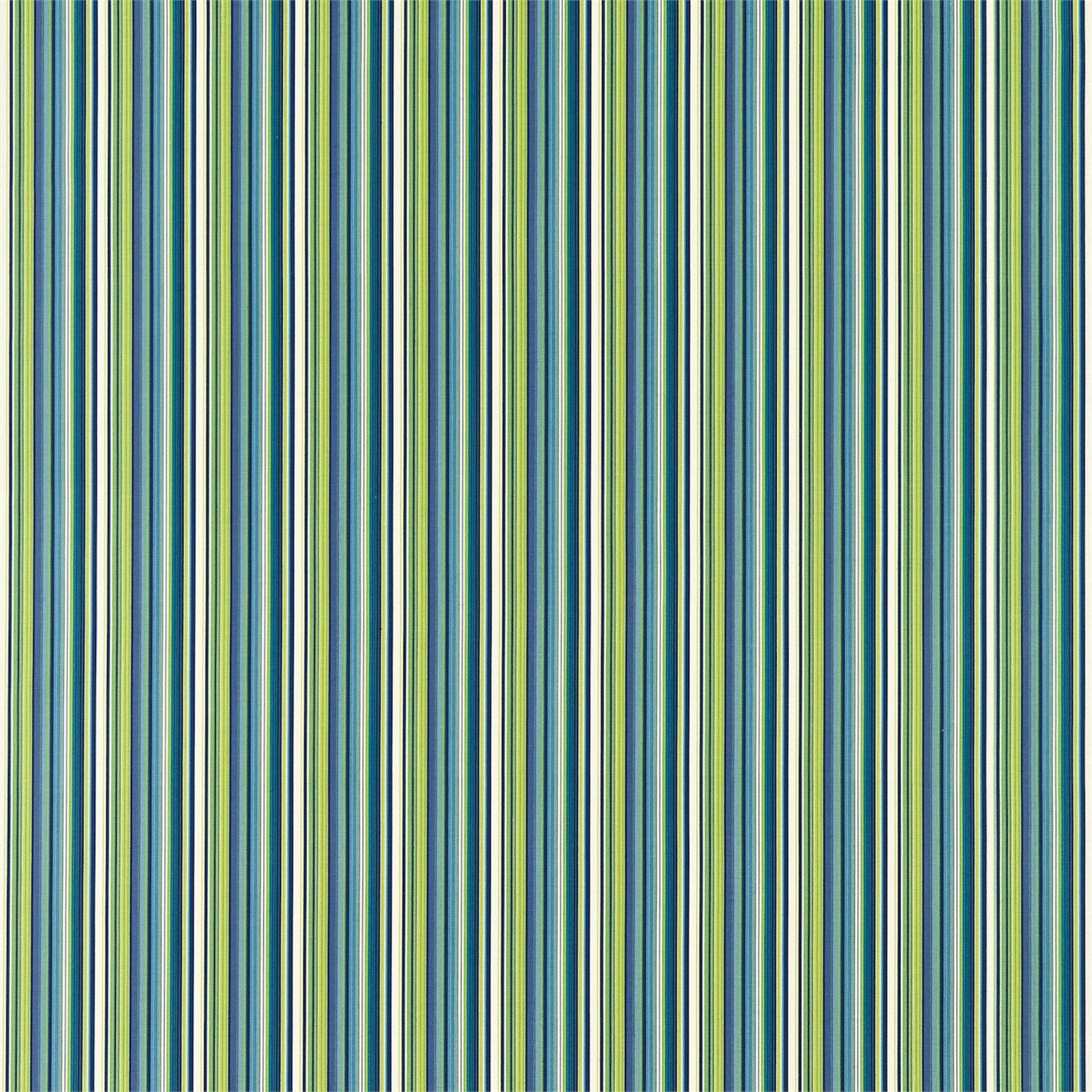 Strata 120082