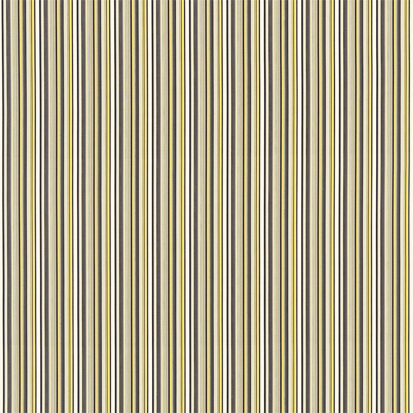 Strata 120086