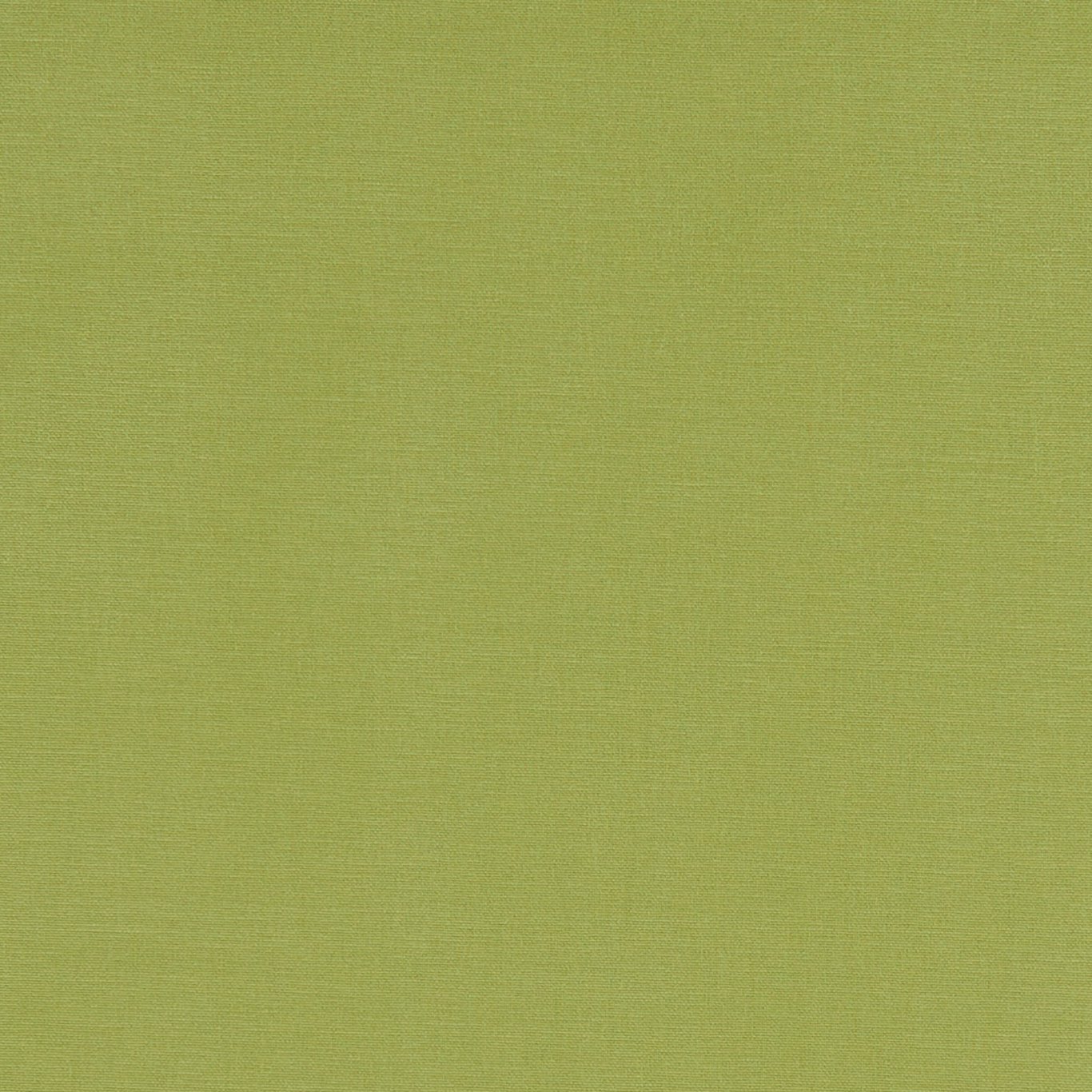 Alora F1097-01