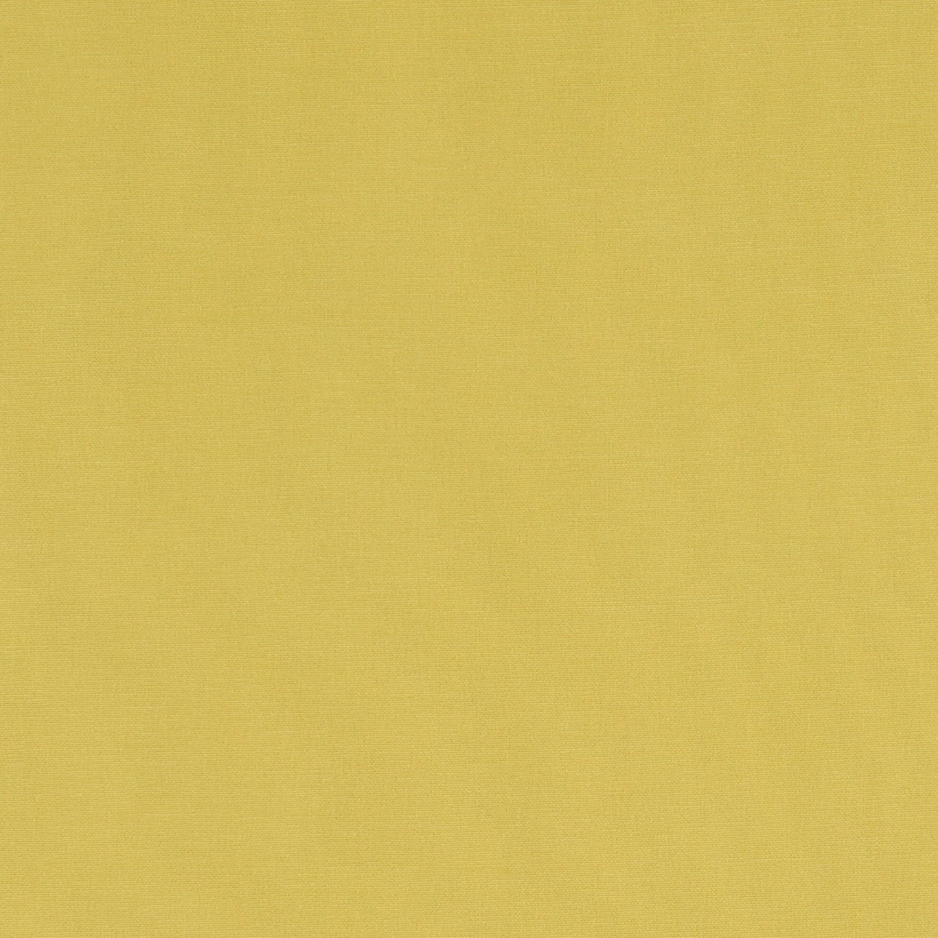 Alora F1097-06