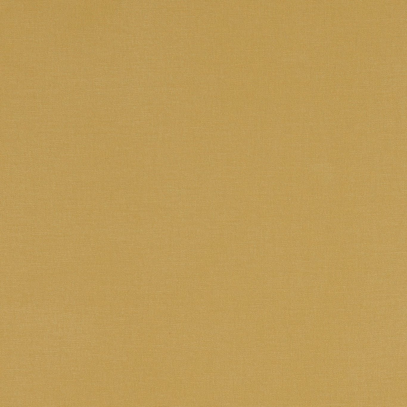 Alora F1097-09