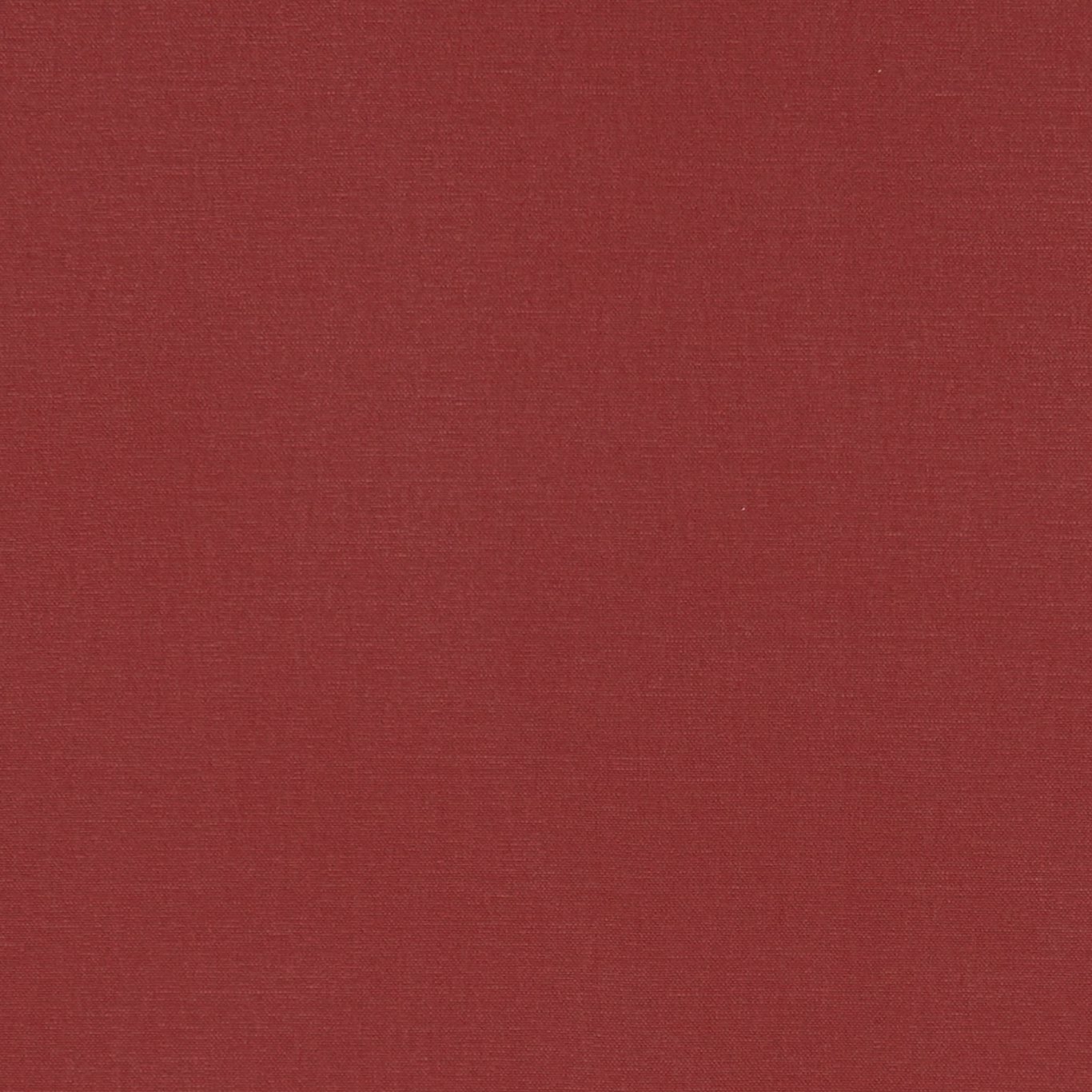 Alora F1097-17