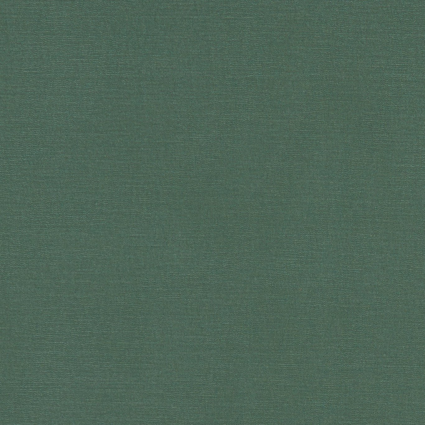 Alora F1097-19