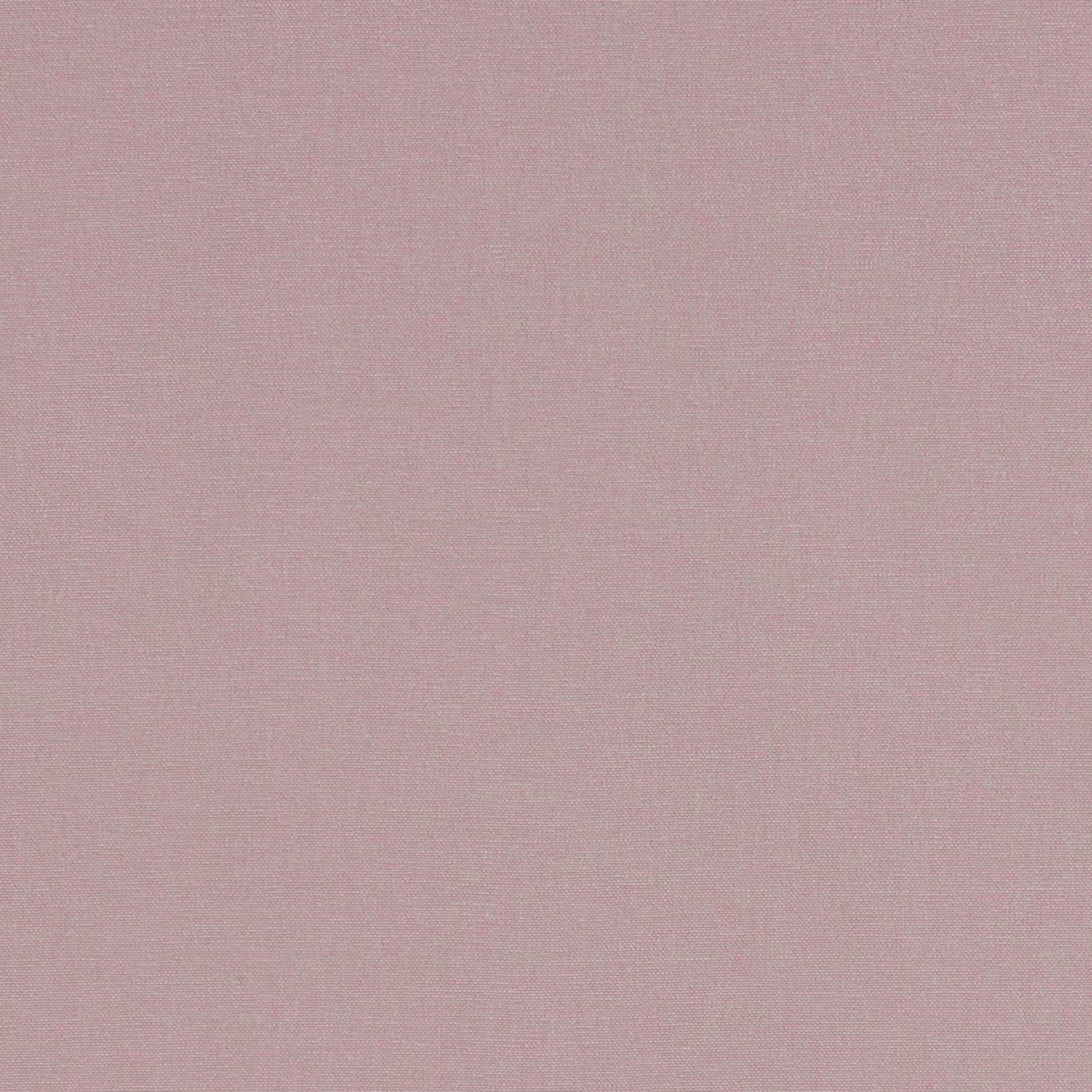 Alora F1097-25