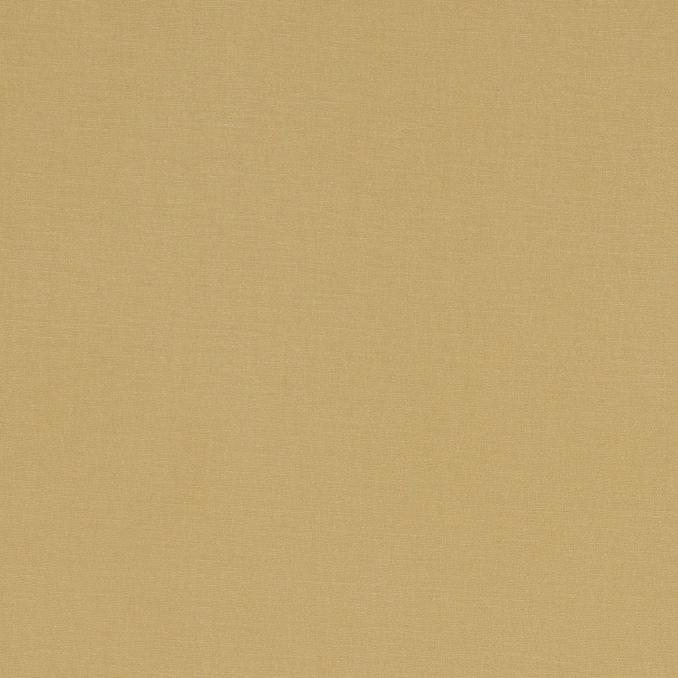 Alora F1097-35