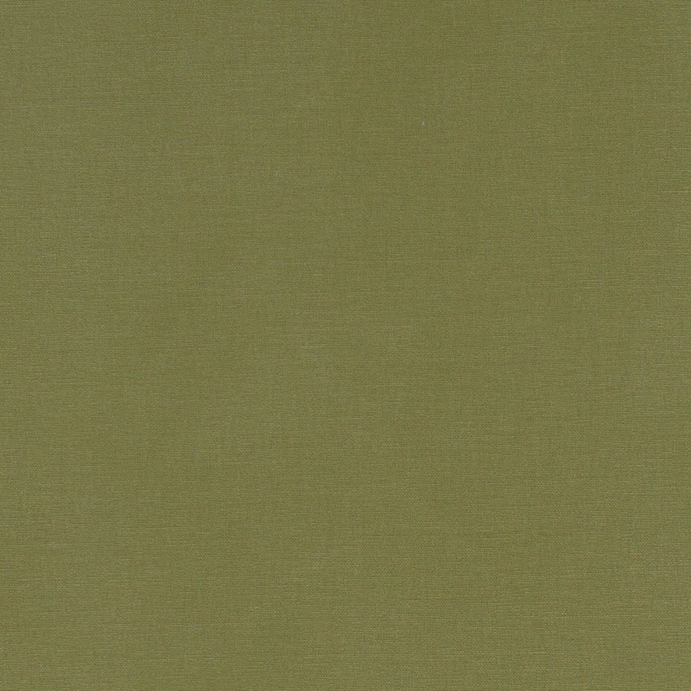 Alora F1097-41