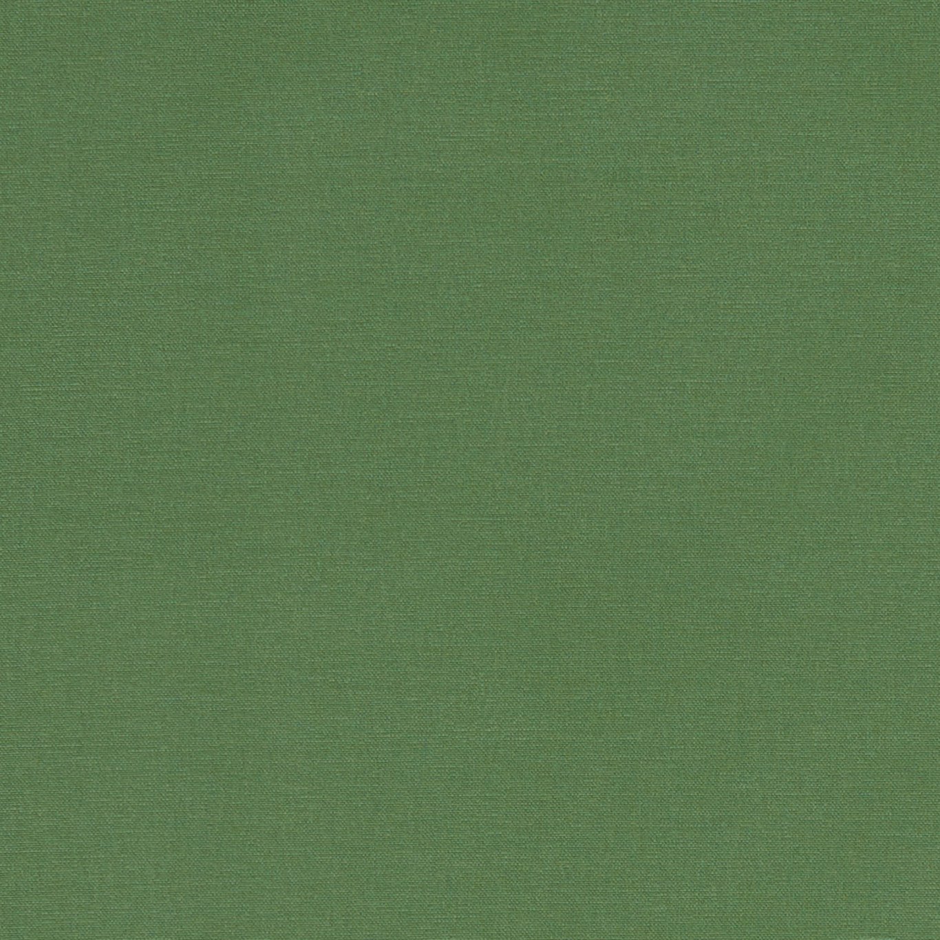 Alora F1097-43