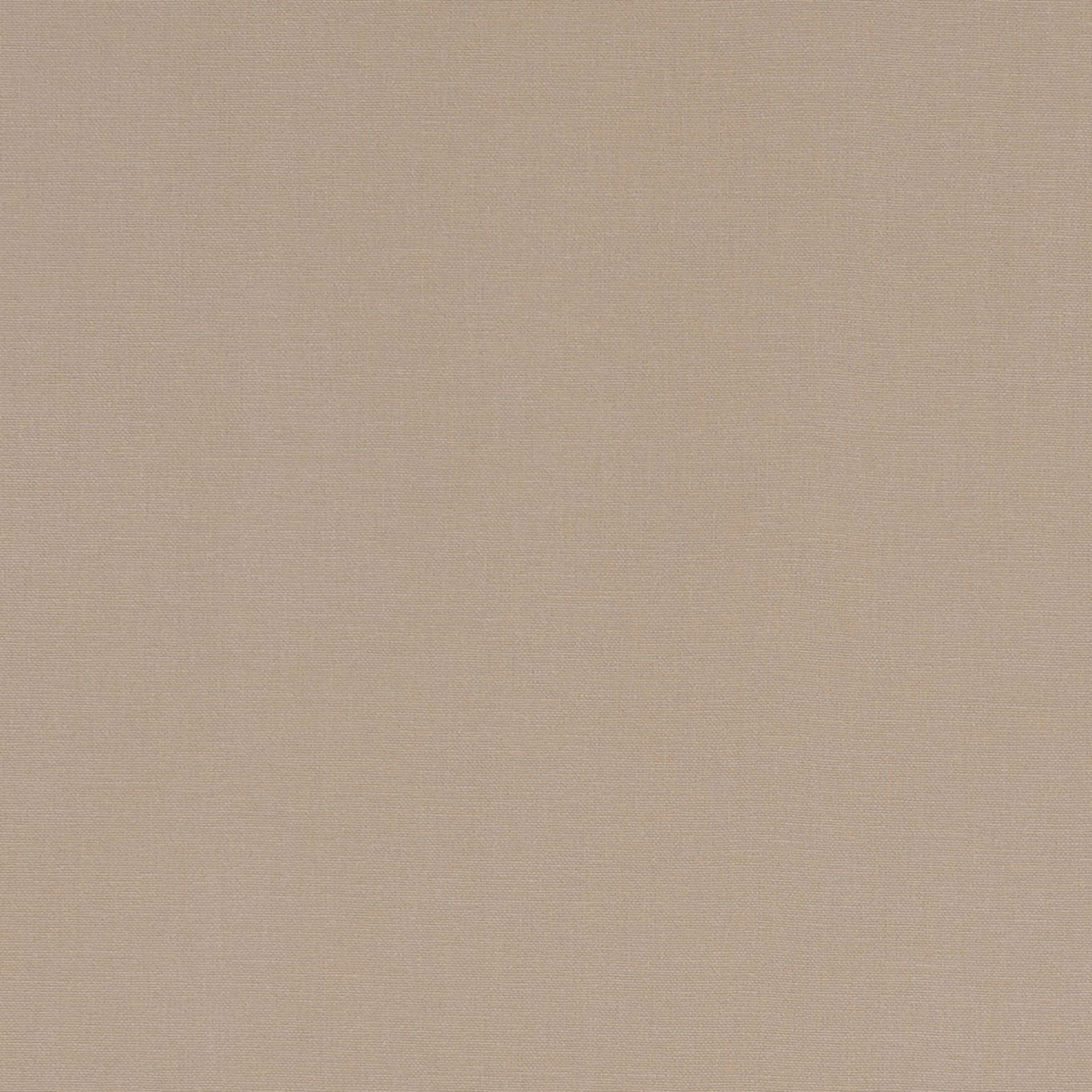 Alora F1097-55