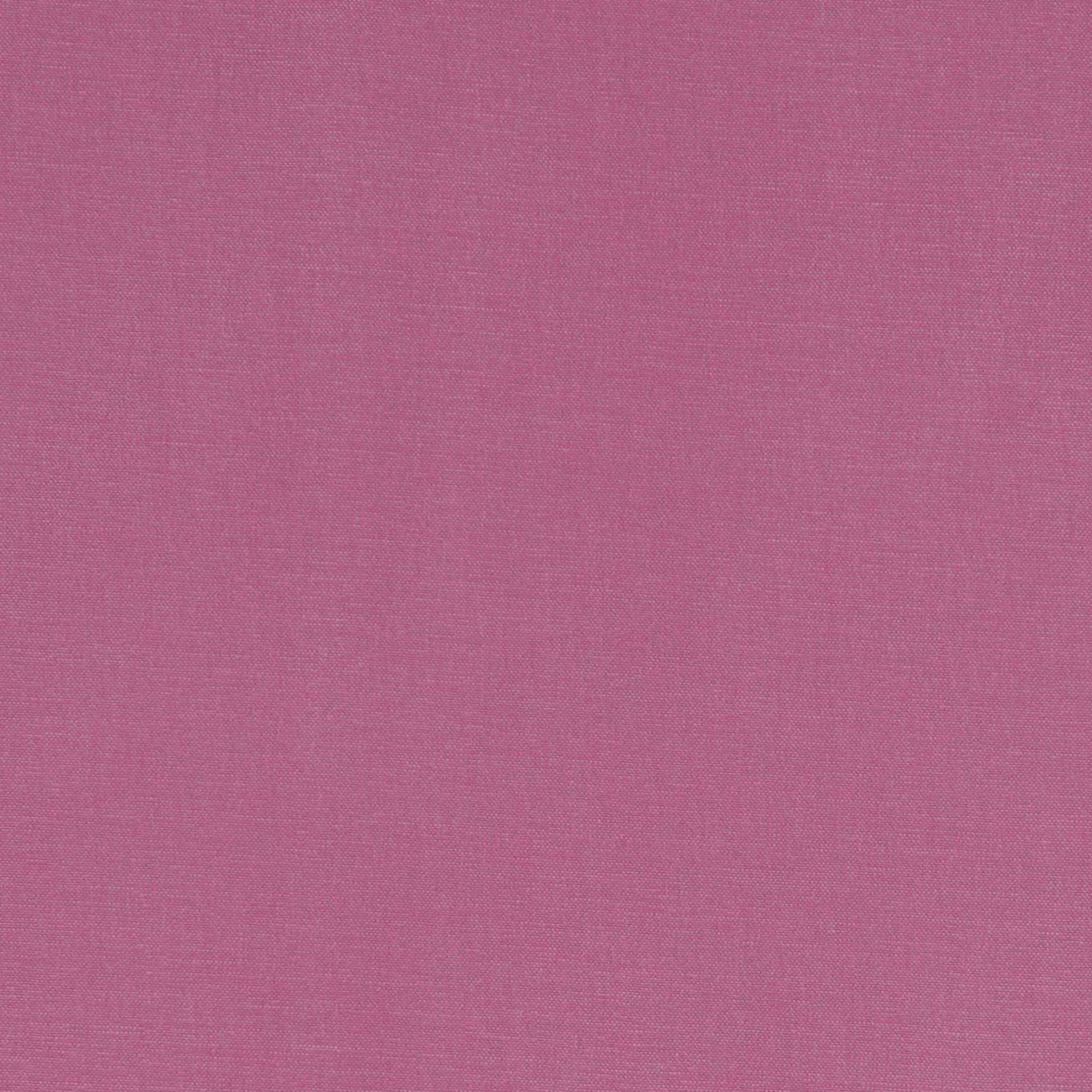 Alora F1097-59