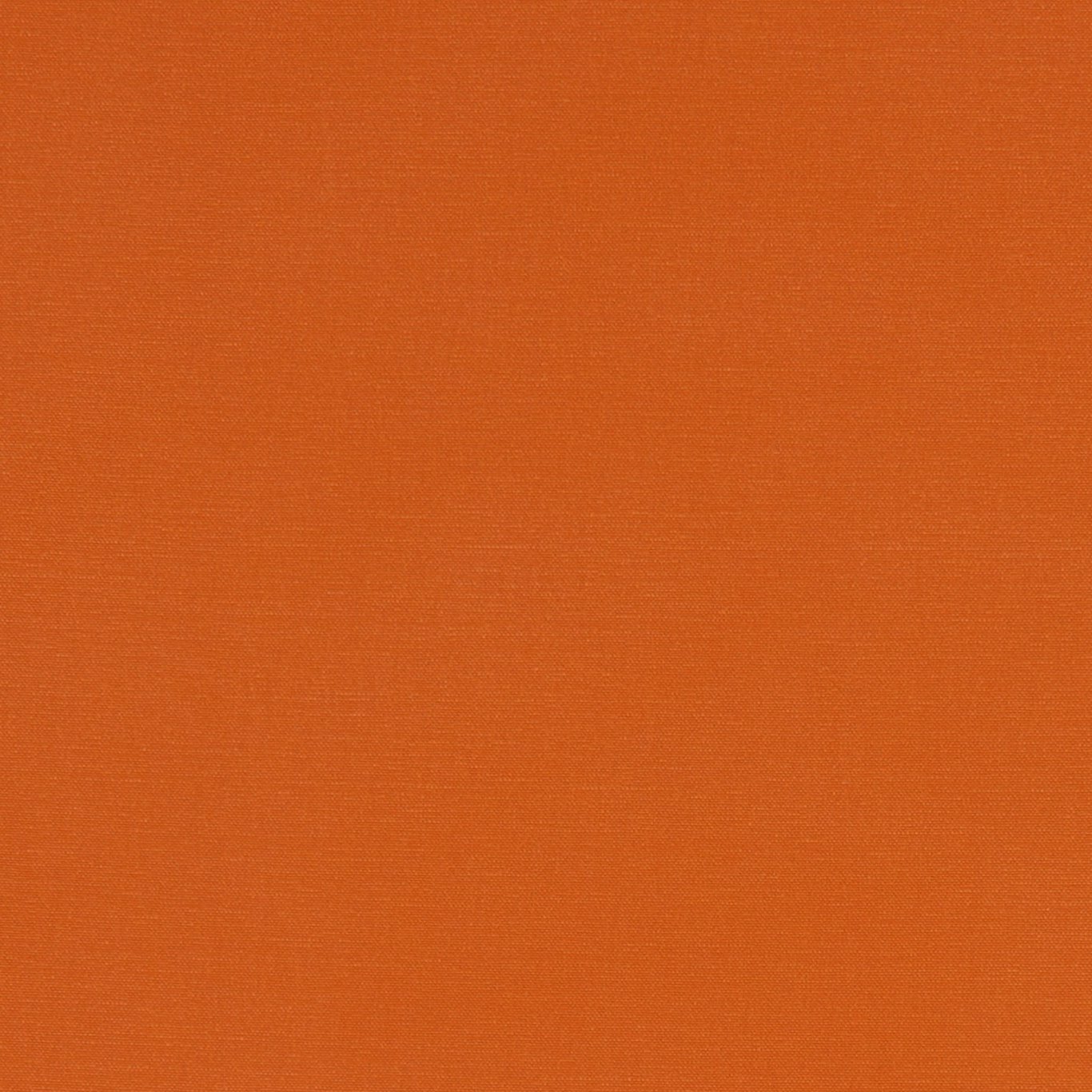 Alora F1097-60
