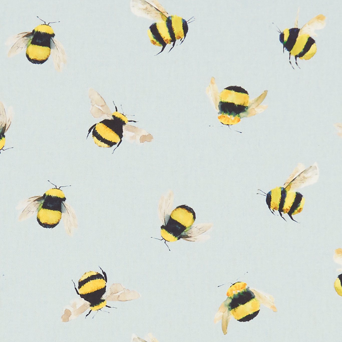 Bees F1255-01