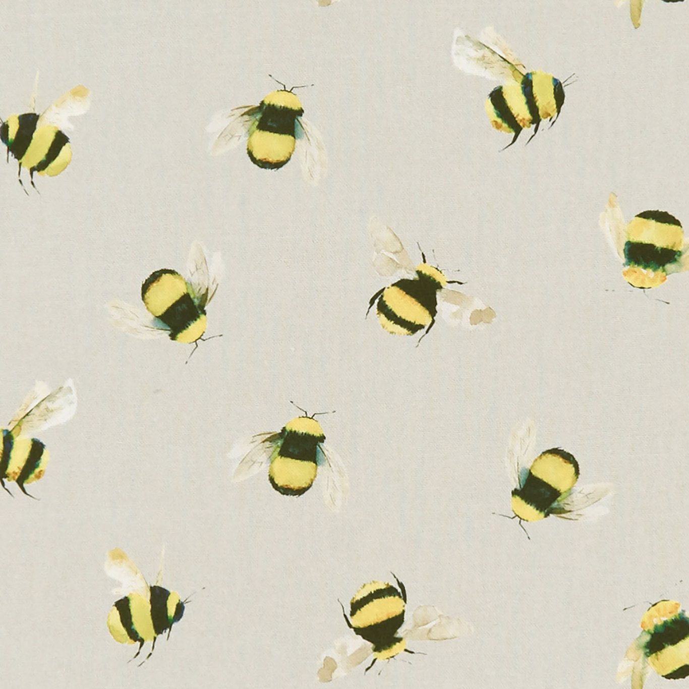 Bees F1255-02