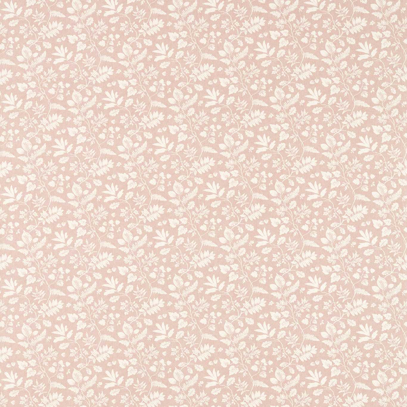 Bellever F1699-01