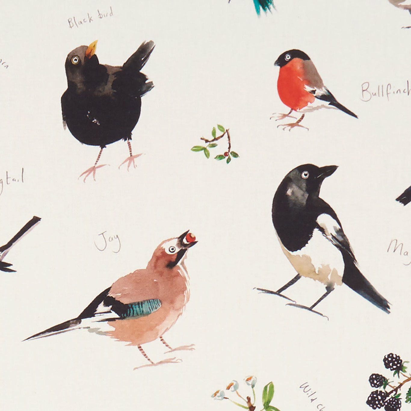 Bird Watch F1257-01