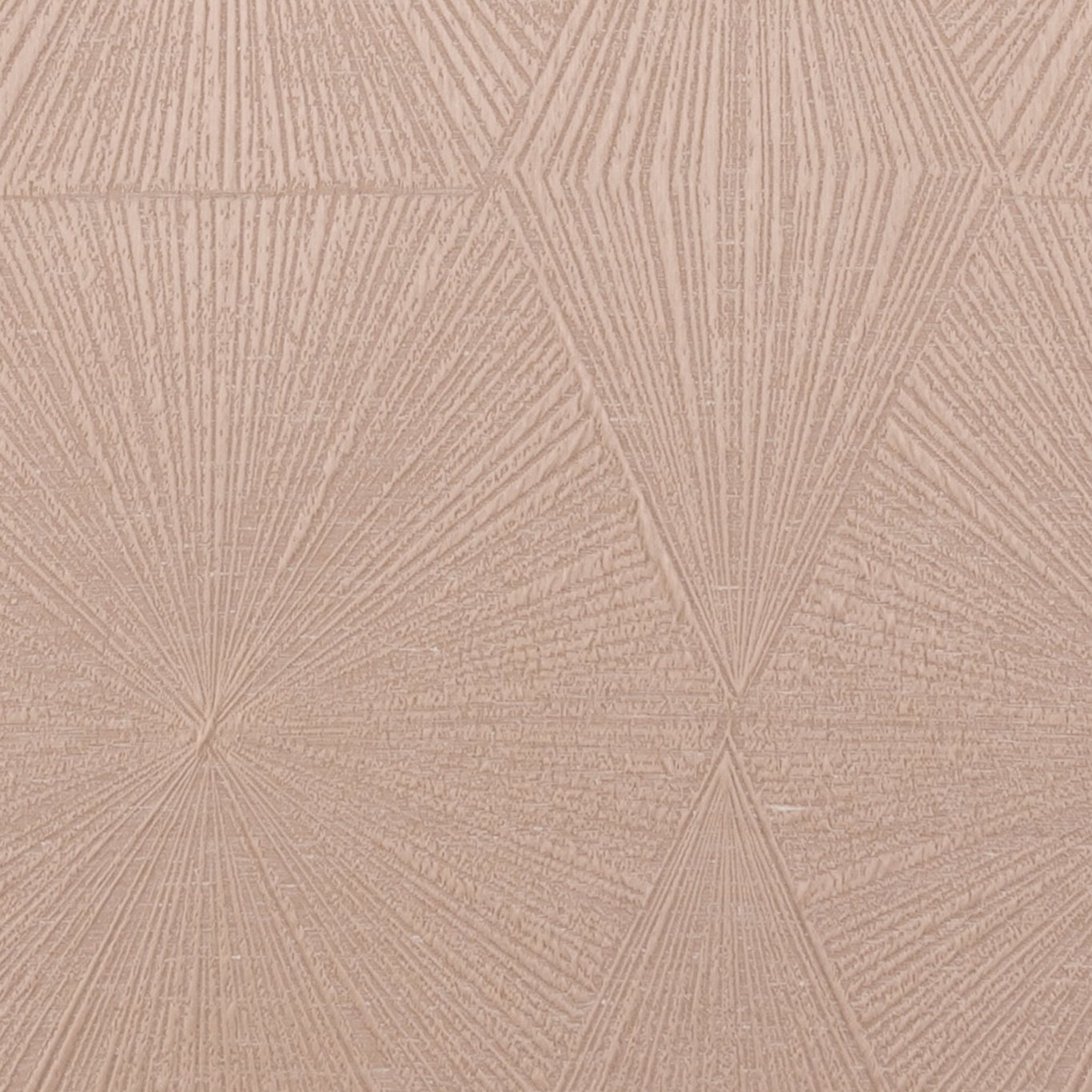Blaize F1456-01