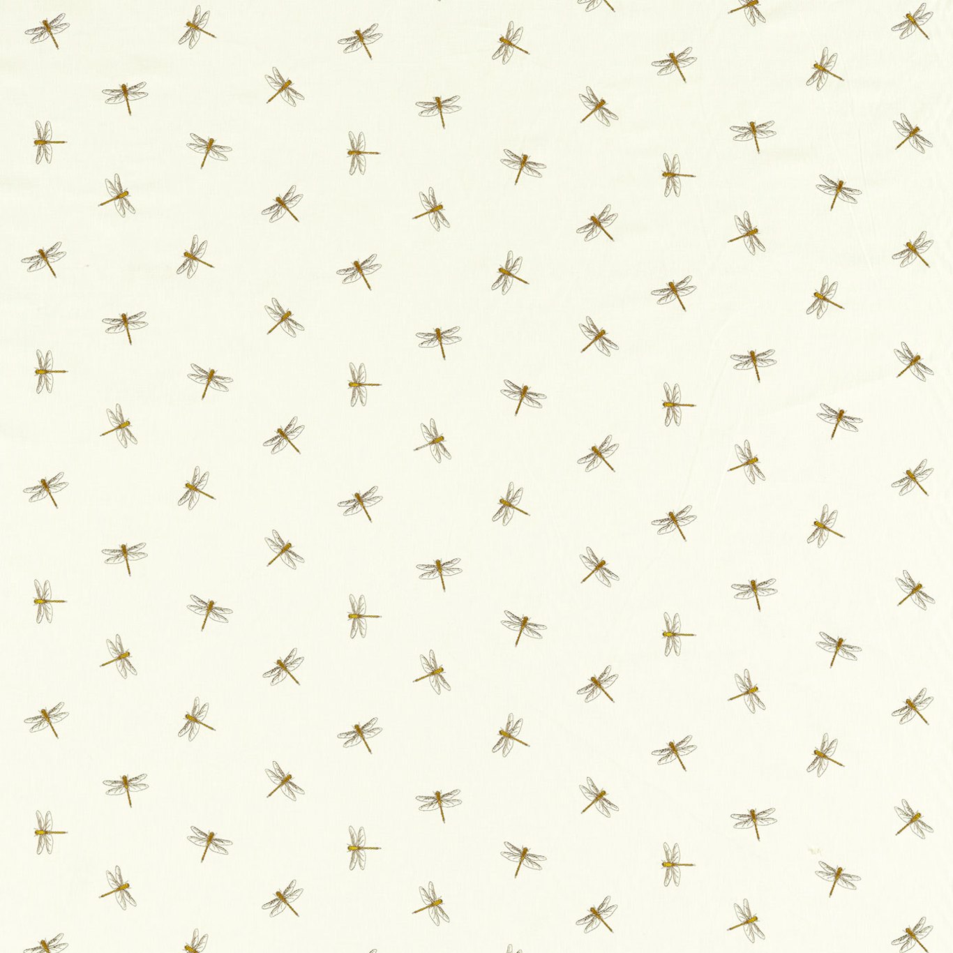 Damsel F1514-02
