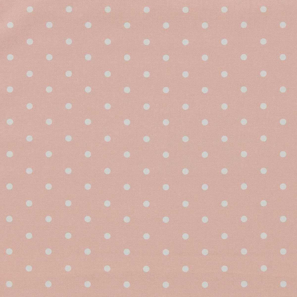 Dotty F1781-01