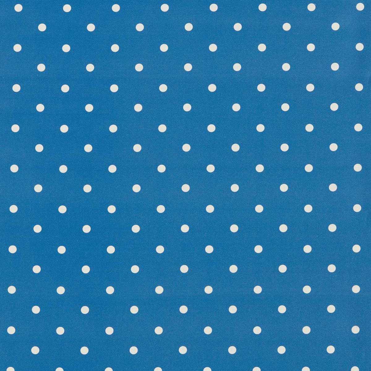 Dotty F1781-02
