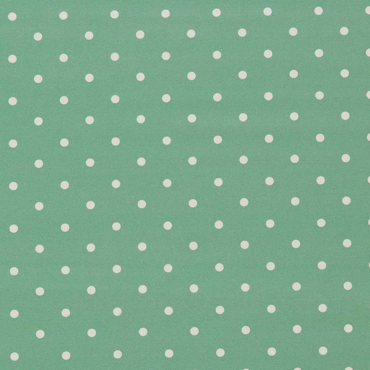 Dotty F1781-03