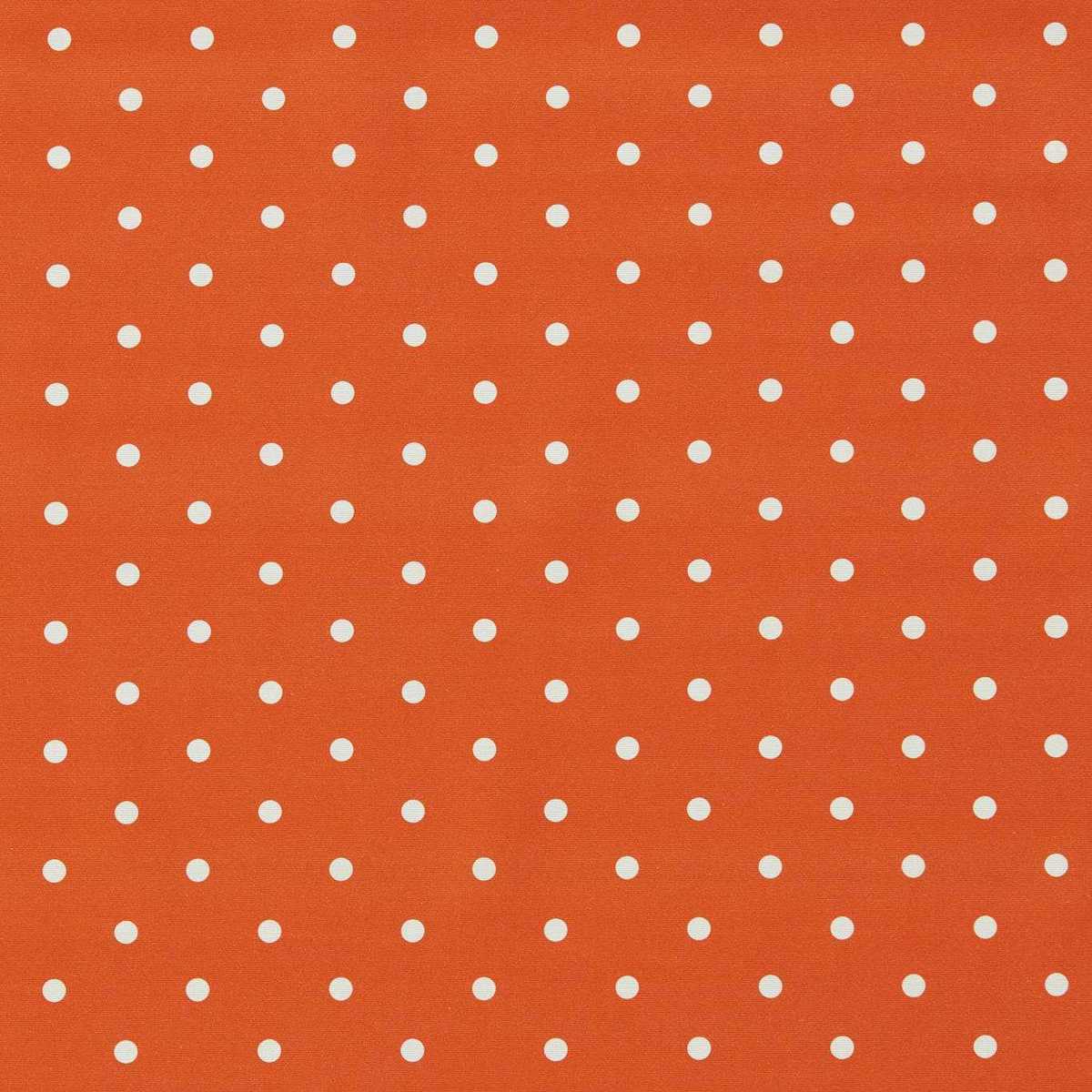 Dotty F1781-04