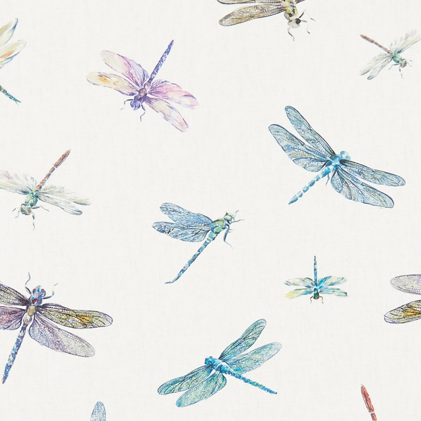 Dragonflies F1264-01