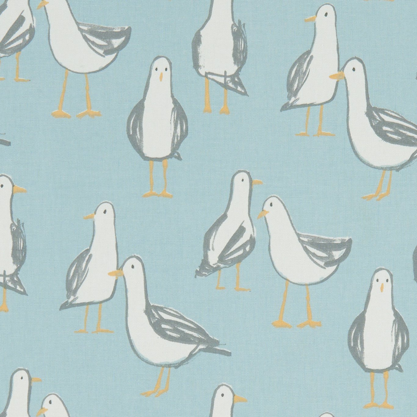 Laridae F1192-01