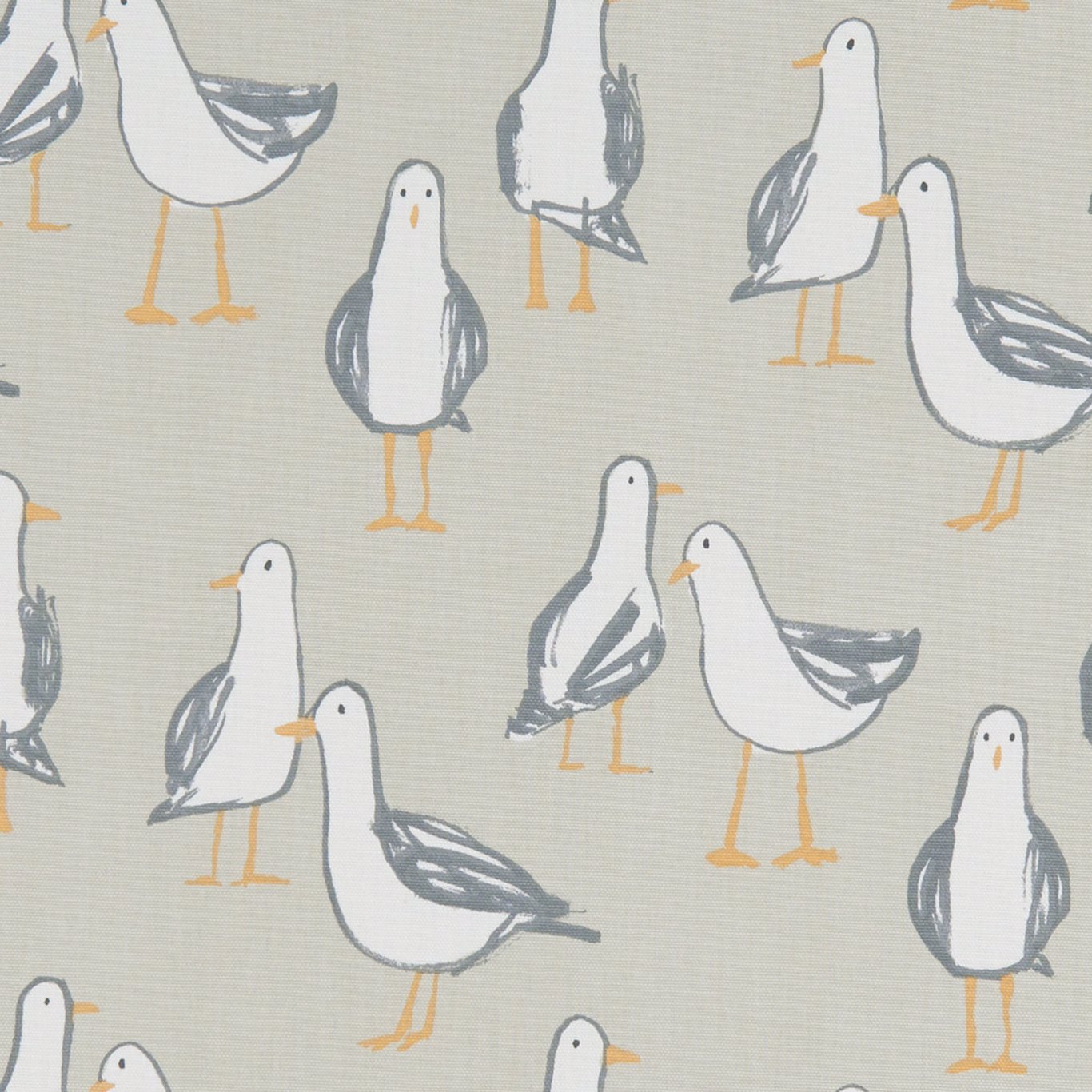 Laridae F1192-03
